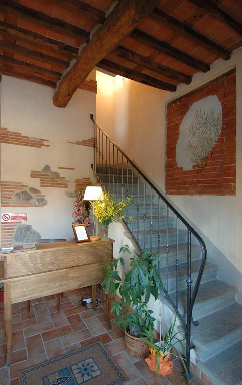Le Ginestre B & B Massarosa Ngoại thất bức ảnh